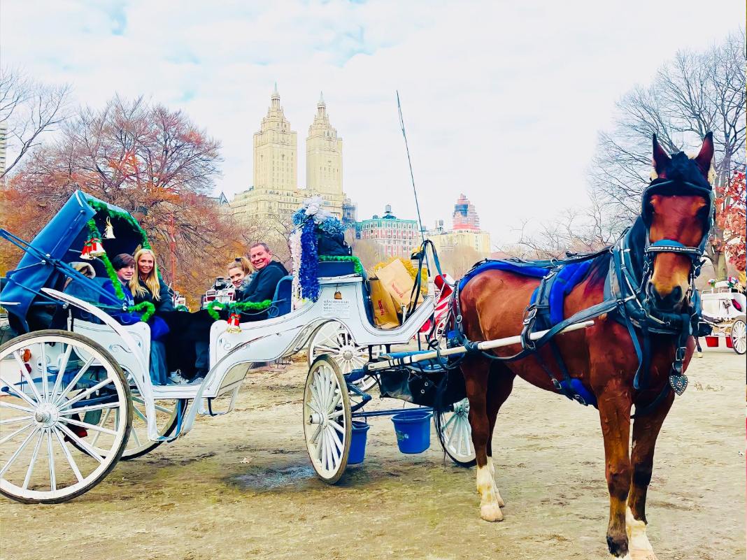 central park bike carriage tours