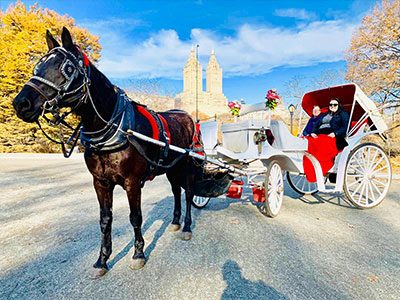 Central Park Carriage Rides6