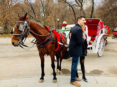 Horse Drawn Carriage Rides - Harbor View Hotel